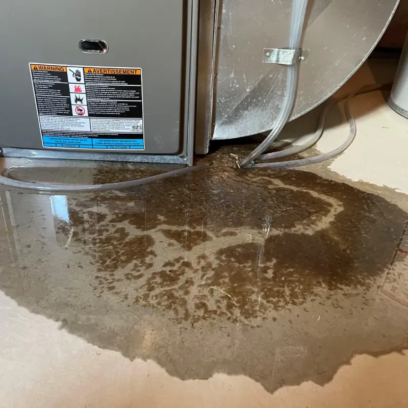 Appliance Leak Cleanup in Chico, CA